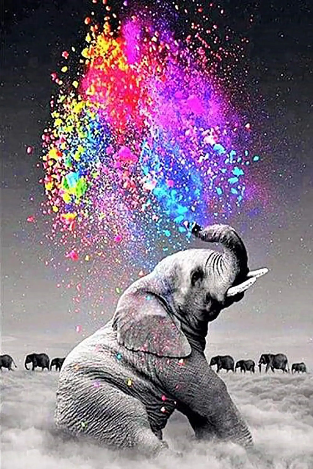 Diamond Painting - Éléphant « Jeu de couleurs »