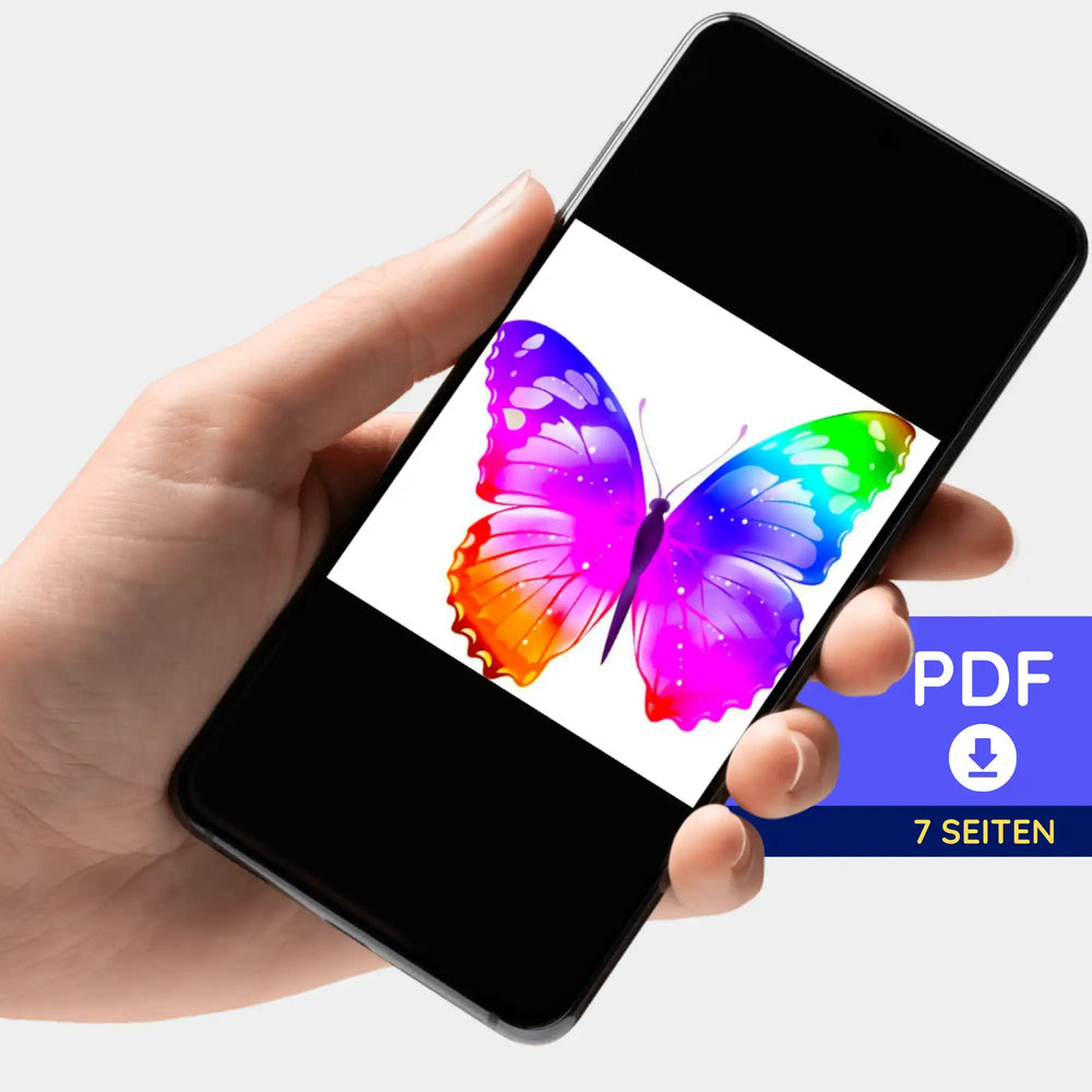 Portfolio numérique - Papillon coloré