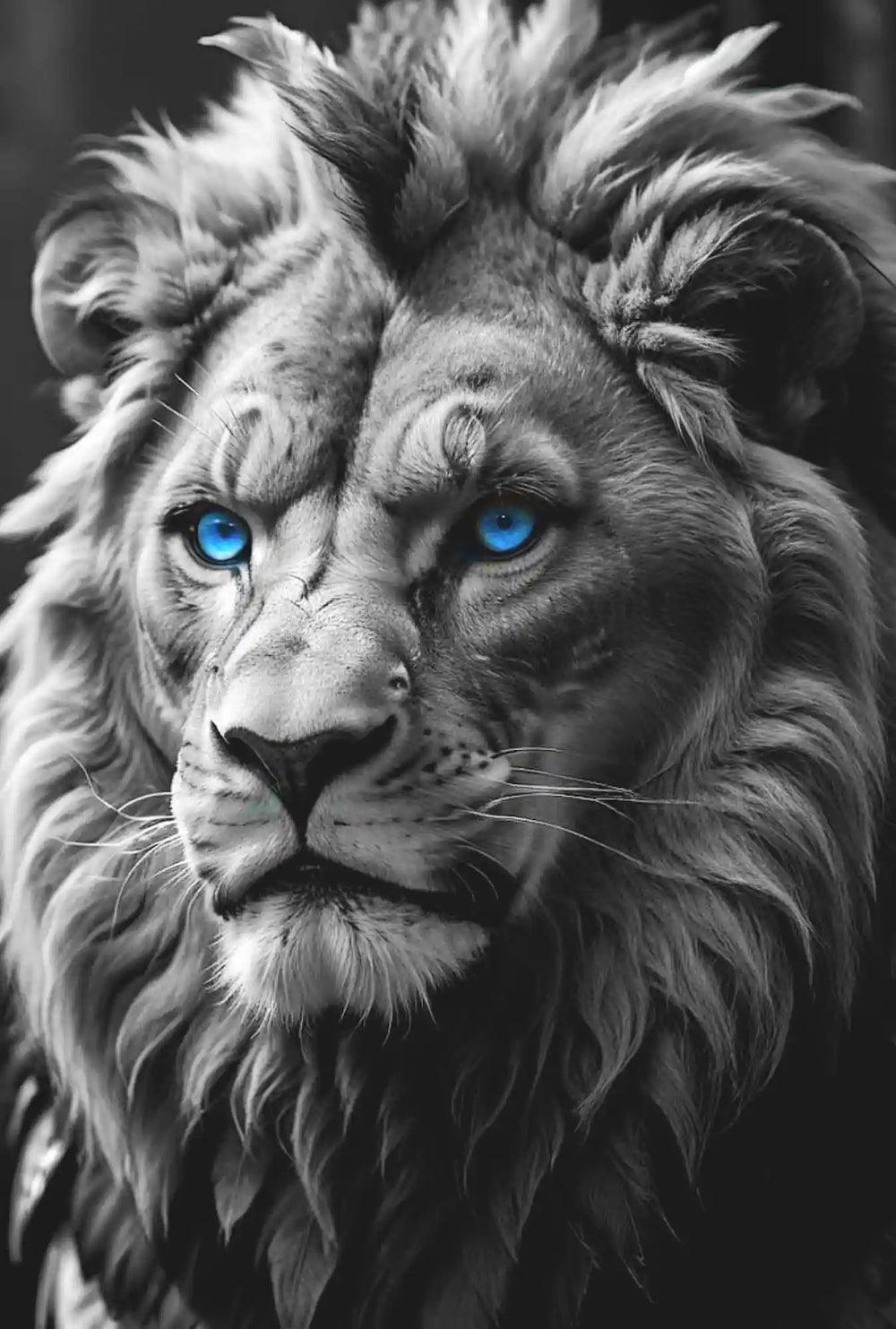 Broderie diamant - Léo le lion